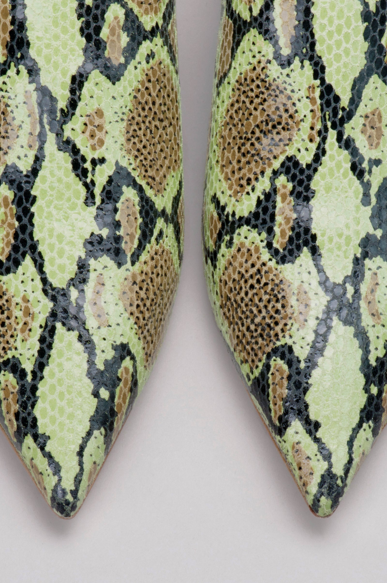 Witch - Green Python