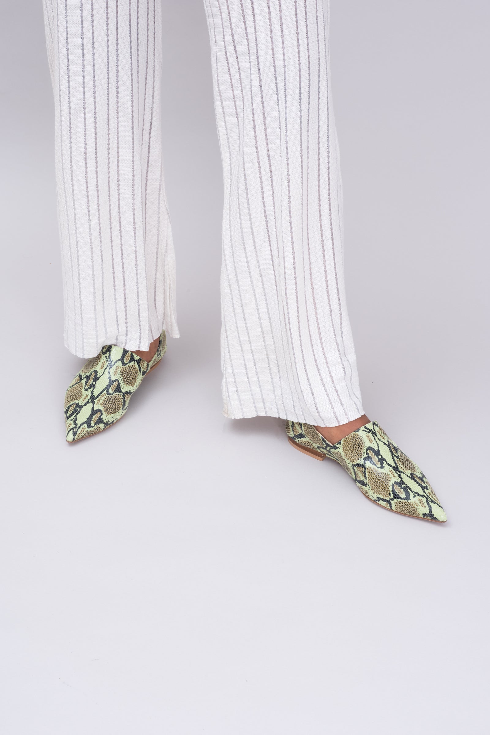 Witch - Green Python